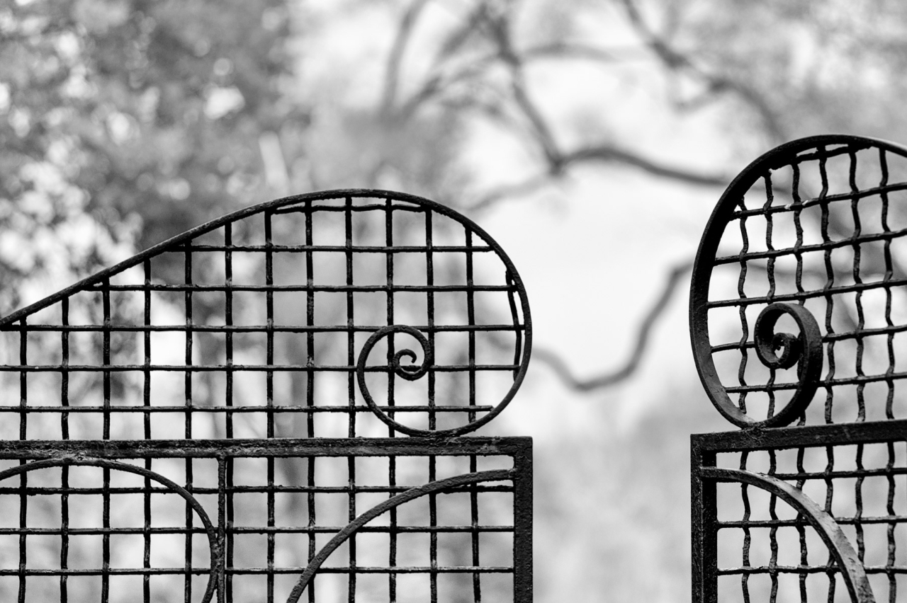 L1001121-Edit-2